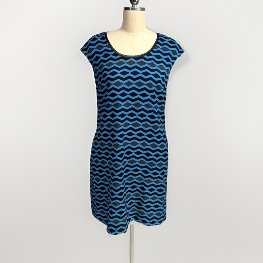 W by Worth Silk Tunic Dress Chevron Stripe Blue Size 2 Or Xs